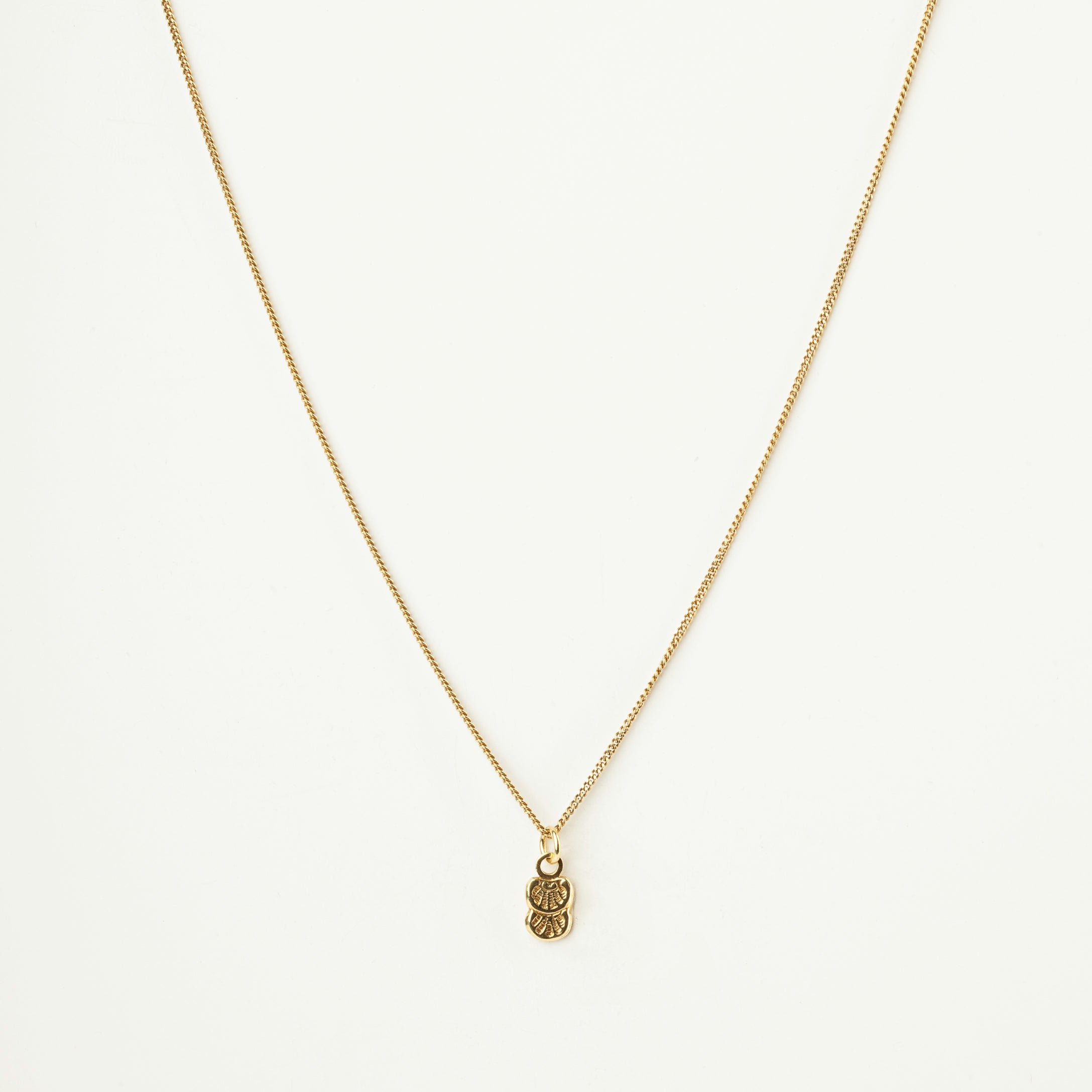 Collier coquillage or