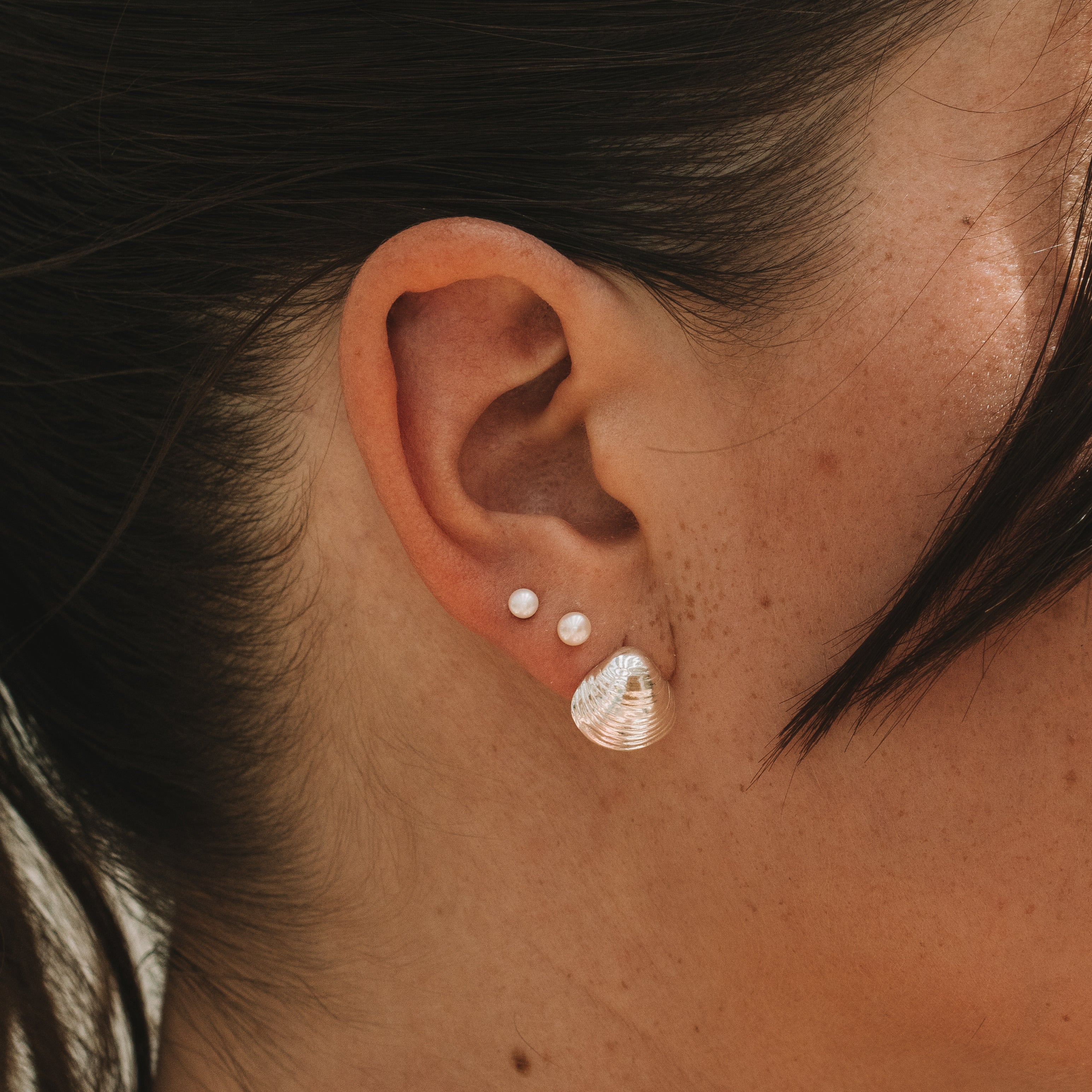 Shell Studs