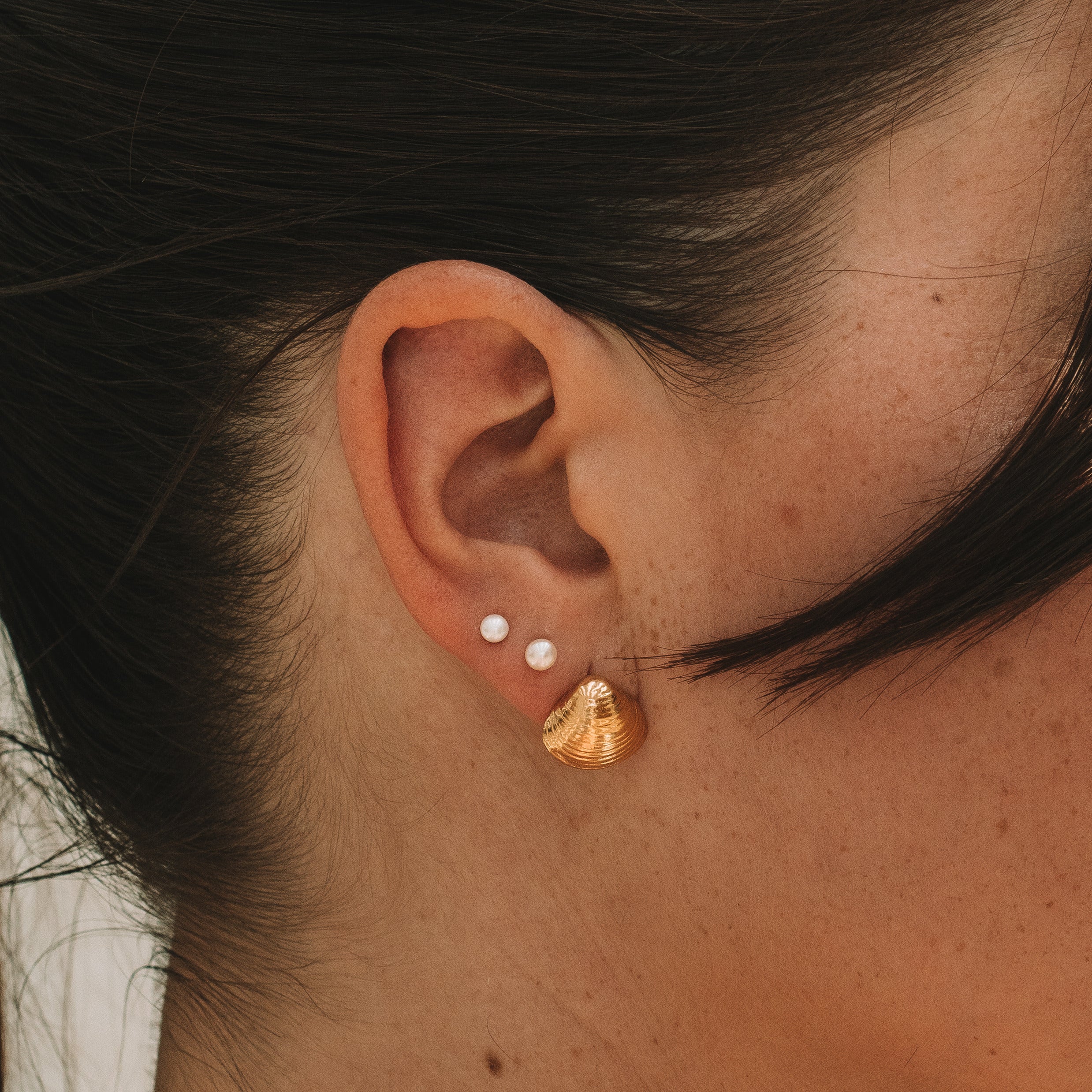 Shell Gold Vermeil Studs